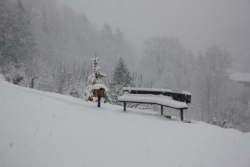 Alpenferienwohnungen Wiesenlehen Berchtesgaden Exteriér fotografie